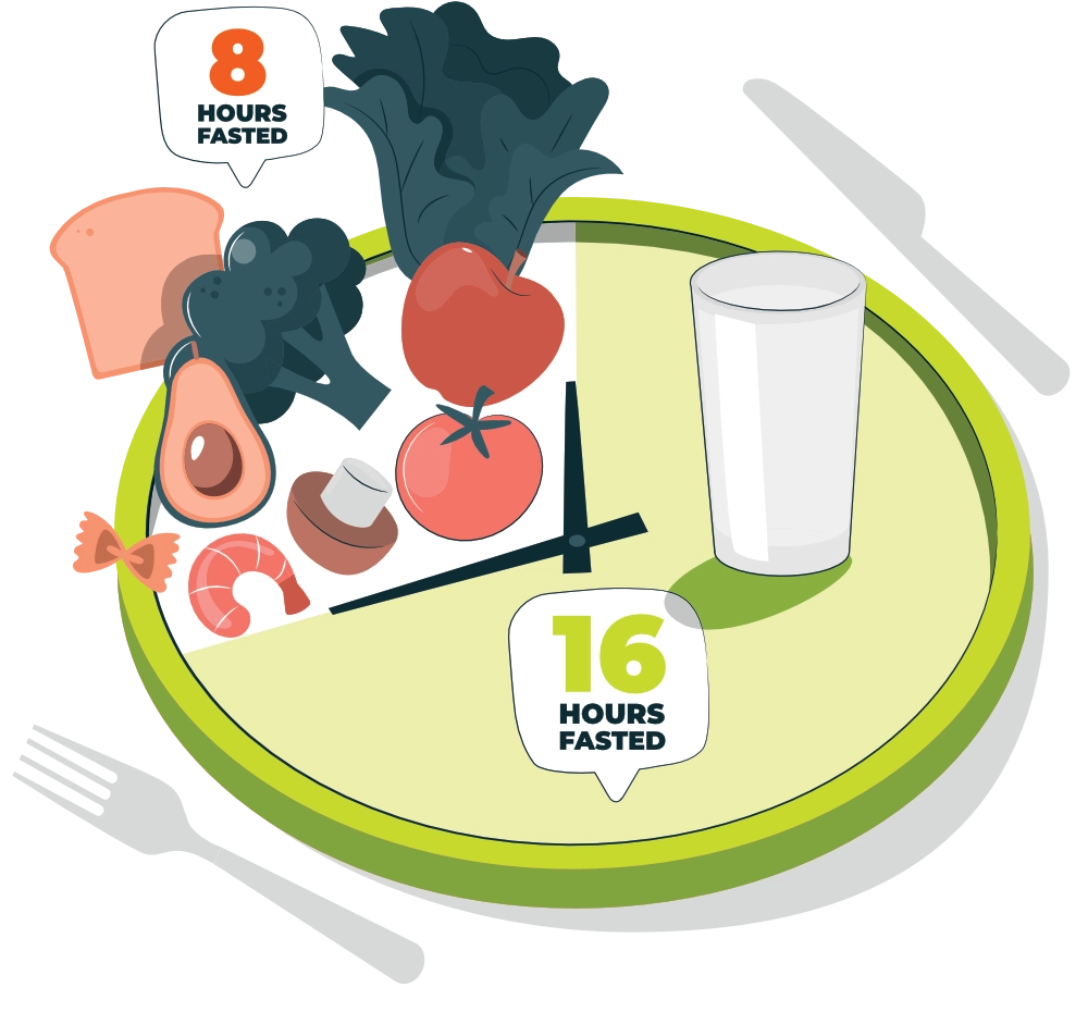 16/8 Intermittent Fasting Method