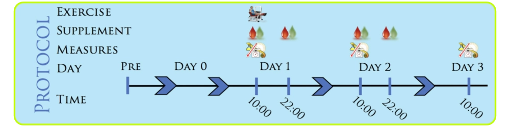 Figure 2: Schematic protocol of the study duration