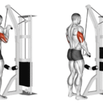 Tricep Push down demonstration.