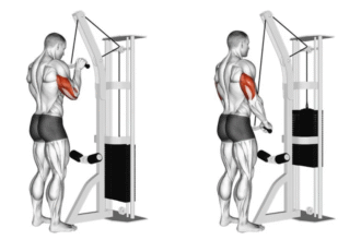 Tricep Push down demonstration.