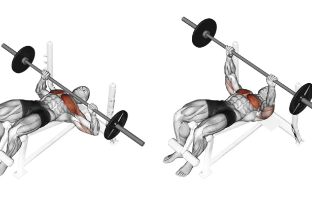 How to do a Decline Barbell Bench Press