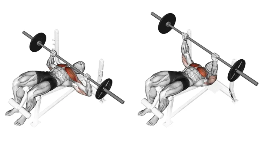 How to do a Decline Barbell Bench Press