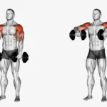 Dumbbell upright row exercise demonstration for shoulder workout