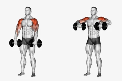 Dumbbell upright row exercise demonstration for shoulder workout