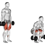 How to Correctly do squat exercise with Dumbells