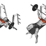 How to do a Barbell Bench Press, for increasing the chest size.