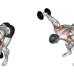 Rear Delt Fly exercise demonstration