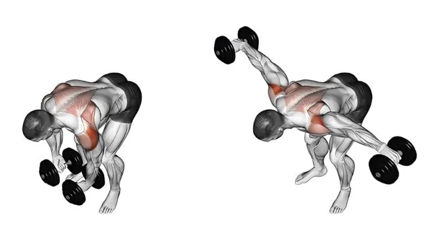 Rear Delt Fly exercise demonstration