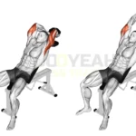 Seated Overhead dumbbell extension, Tricep workout guide