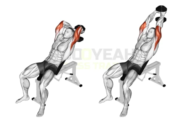 Seated Overhead dumbbell extension, Tricep workout guide