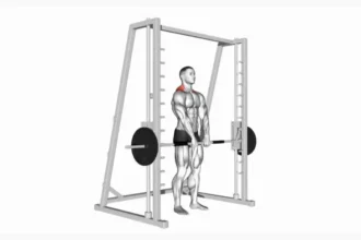 Smith Machine Shrugh exercise demonstration