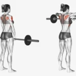 Barbell upright row exercise demonstration
