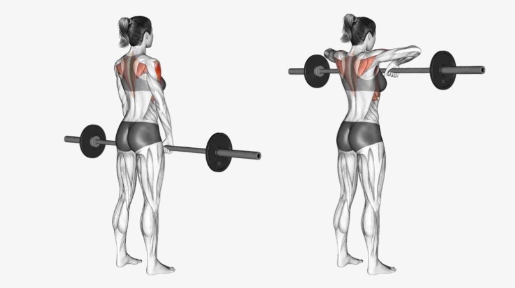 Standing Barbell Upright Row: Ultimate Guide to Building Strong ...