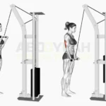 Reverse Tricep extension exercise tutorial