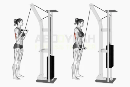 Reverse Tricep extension exercise tutorial