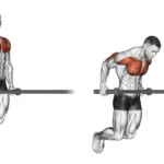 Chest Dip Exercise demonstration