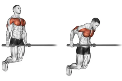 Chest Dip Exercise demonstration