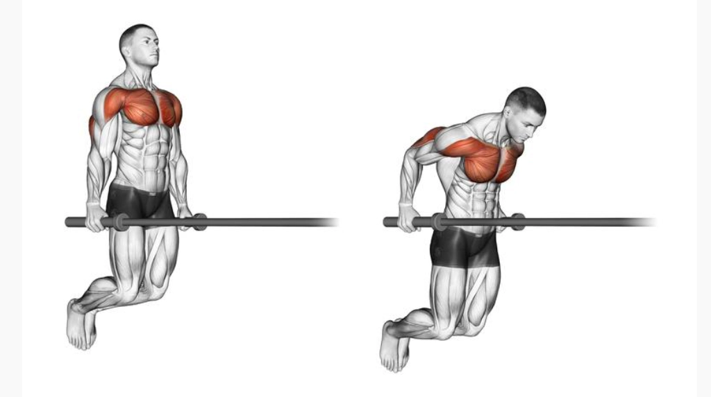 Chest Dip Exercise demonstration