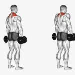 Dumbbell Shrug Exercise demonstration