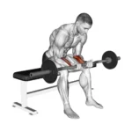 Seated Wrist Curl Demonstration. Forearm exercise
