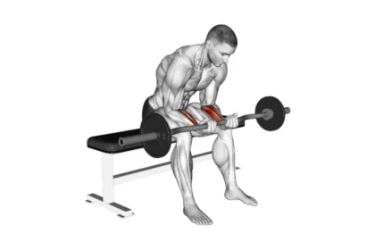 Seated Wrist Curl Demonstration. Forearm exercise