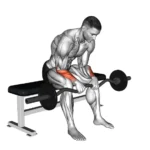 How to do a Reverse Grip Barbell Wrist Curl