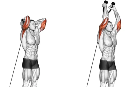 Overhead tricep extension exercise demonstration