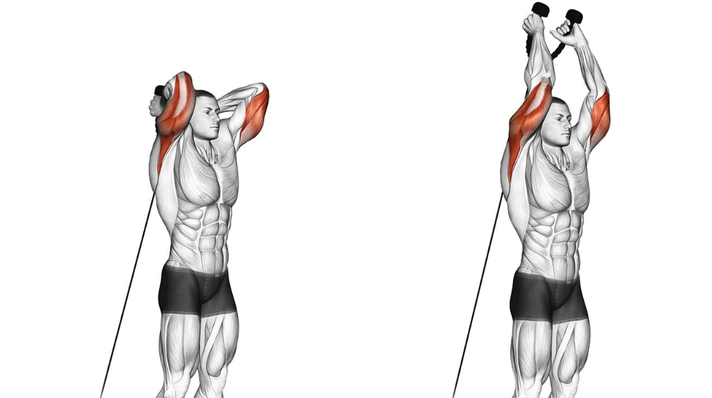 Overhead tricep extension exercise demonstration