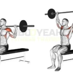 Seated barbell military press - Shoulder workout demonstration