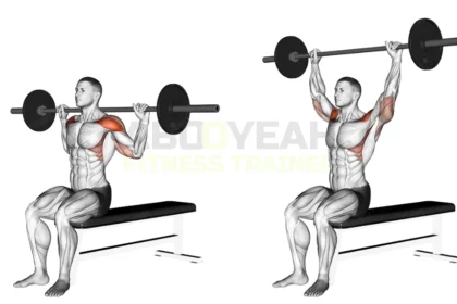 Seated barbell military press - Shoulder workout demonstration