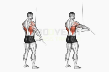 Straight Arm Lat Pulldown Exercise demonstration