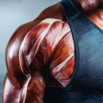 An extreme close-up of a male shoulder showcasing detailed, striated muscle fibers in a state of contraction, illustrating the physiology of muscle hypertrophy.