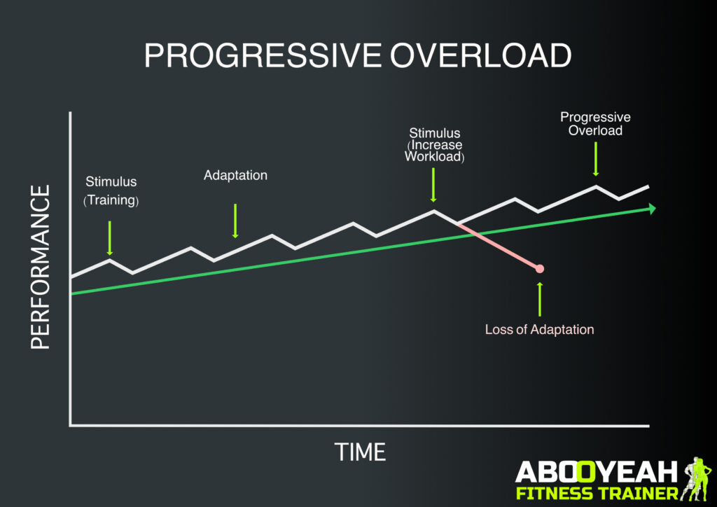 A diagram illustrating Muscle Hypertrophy and the principle of Progressive Overload in fitness, showing how the body adapts to a training stimulus over time, requiring an increased workload to continue improving.