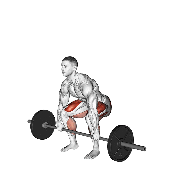 A 3D biomechanical animation of an athlete performing a conventional deadlift, highlighting the hip-hinge pattern, spinal alignment, and synergistic engagement of the posterior chain.