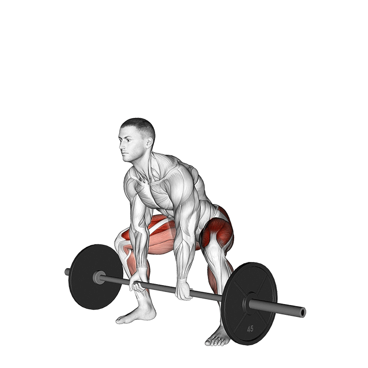 A 3D biomechanical animation of an athlete performing a sumo deadlift, highlighting the wide-stance hip engagement and vertical bar path aligned over the mid-foot.